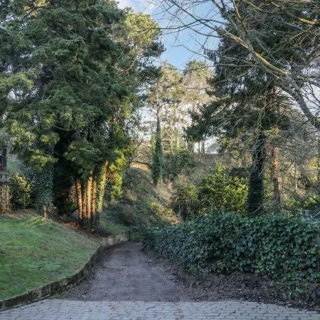 Clematis Dom wakacyjny *